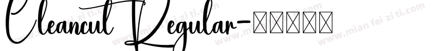Cleancut Regular字体转换